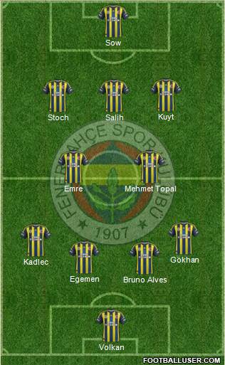 Fenerbahçe SK Formation 2013