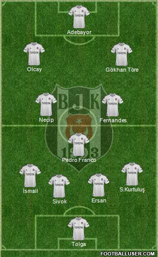 Besiktas JK Formation 2013