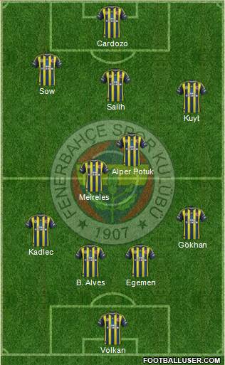 Fenerbahçe SK Formation 2013