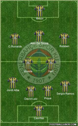 Fenerbahçe SK Formation 2013