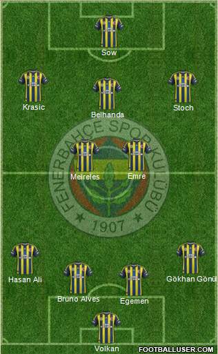 Fenerbahçe SK Formation 2013