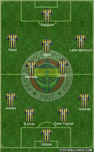 Fenerbahçe SK Formation 2013