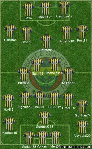 Fenerbahçe SK Formation 2013
