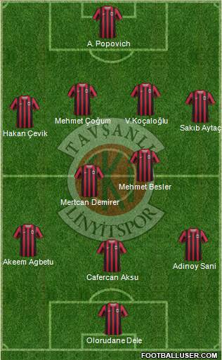 Tavsanli Linyitspor Formation 2013