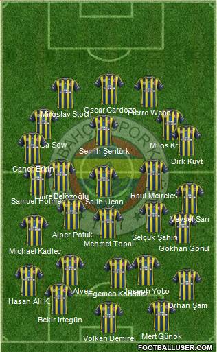 Fenerbahçe SK Formation 2013