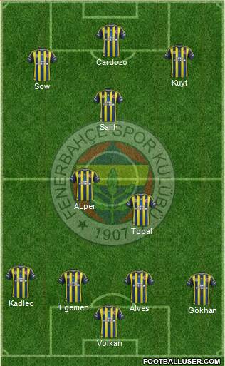 Fenerbahçe SK Formation 2013