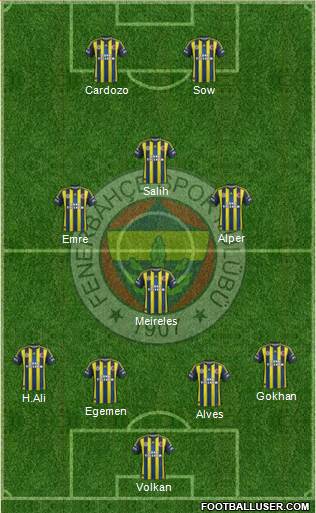 Fenerbahçe SK Formation 2013