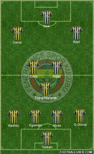 Fenerbahçe SK Formation 2013