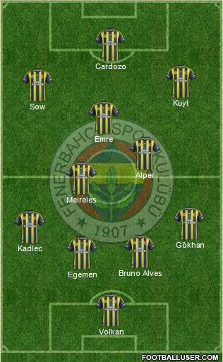 Fenerbahçe SK Formation 2013