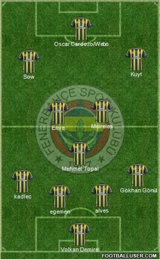 Fenerbahçe SK Formation 2013