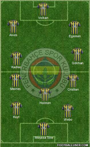 Fenerbahçe SK Formation 2013