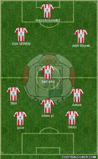Zamora C.F. Formation 2013