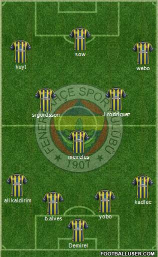 Fenerbahçe SK Formation 2013