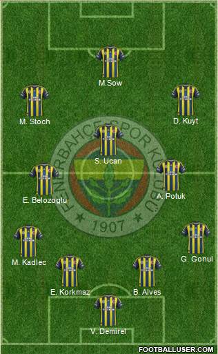 Fenerbahçe SK Formation 2013
