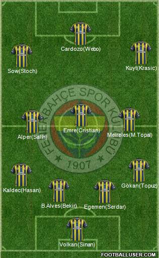 Fenerbahçe SK Formation 2013