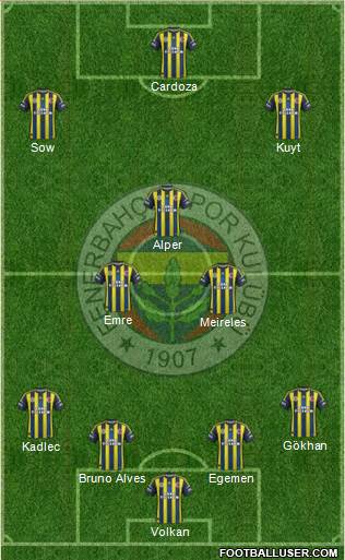 Fenerbahçe SK Formation 2013