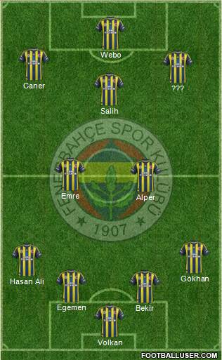 Fenerbahçe SK Formation 2013