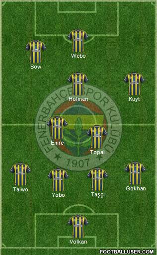 Fenerbahçe SK Formation 2013