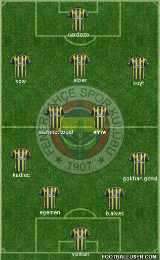 Fenerbahçe SK Formation 2013