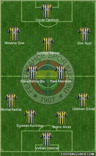 Fenerbahçe SK Formation 2013