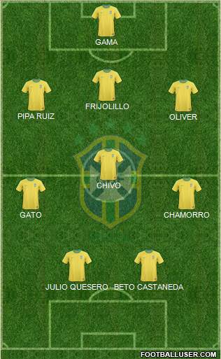 Brazil Formation 2013