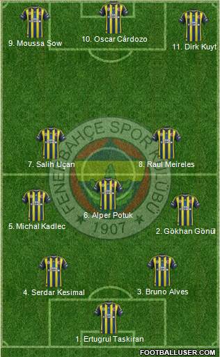 Fenerbahçe SK Formation 2013