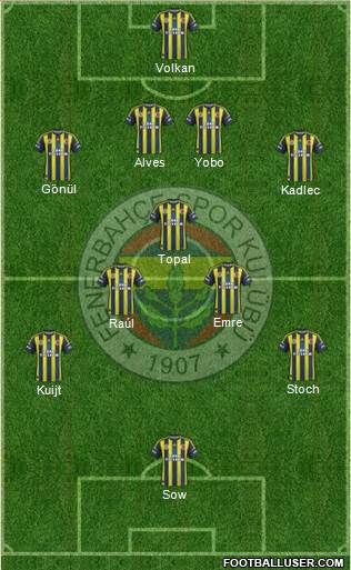 Fenerbahçe SK Formation 2013