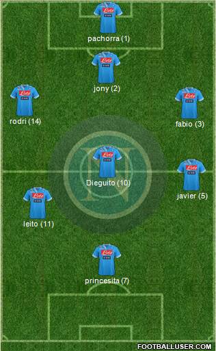 Napoli Formation 2013
