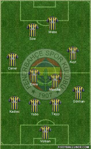 Fenerbahçe SK Formation 2013