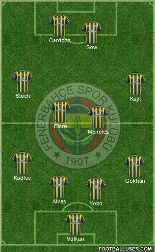 Fenerbahçe SK Formation 2013