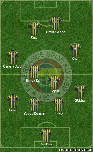 Fenerbahçe SK Formation 2013