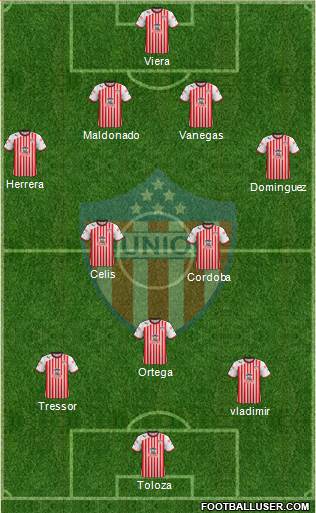 CPD Junior Formation 2013