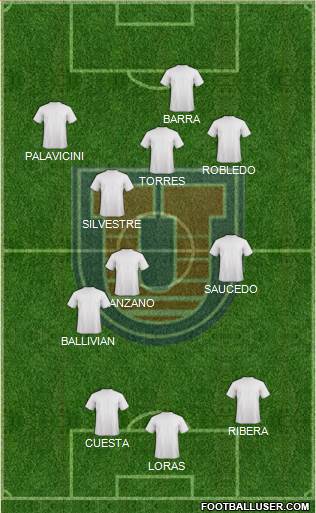 C Universitario San Francisco Xavier Formation 2013