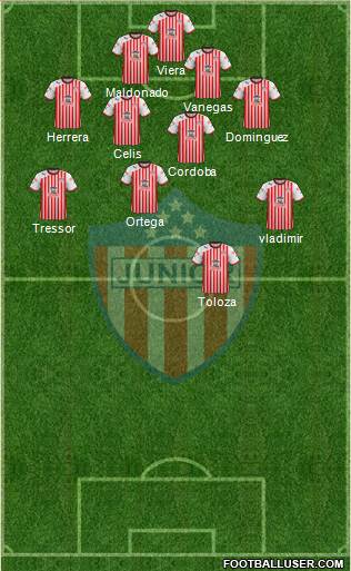 CPD Junior Formation 2013