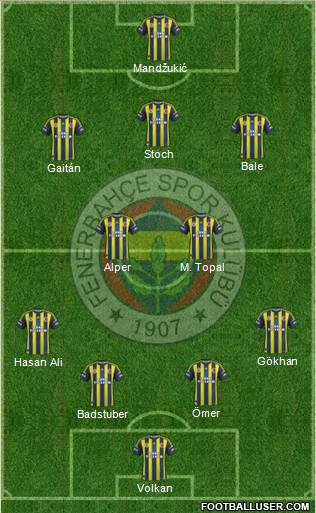 Fenerbahçe SK Formation 2013