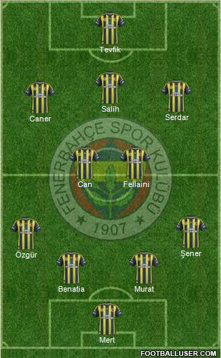 Fenerbahçe SK Formation 2013