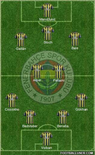 Fenerbahçe SK Formation 2013