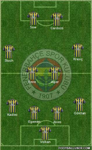 Fenerbahçe SK Formation 2013