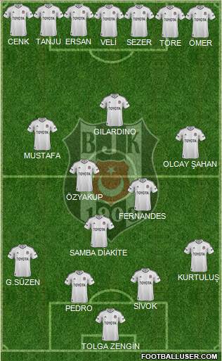 Besiktas JK Formation 2013