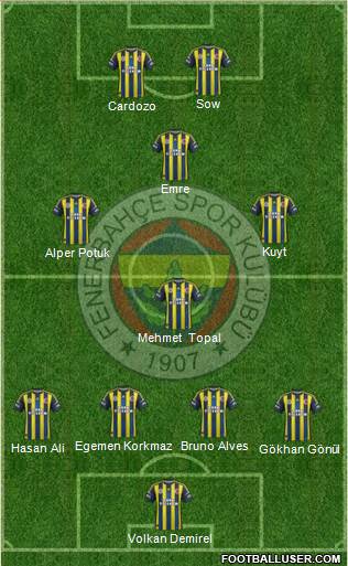 Fenerbahçe SK Formation 2013