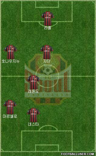 FC Seoul Formation 2013