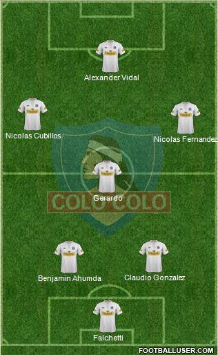 CSD Colo Colo Formation 2013
