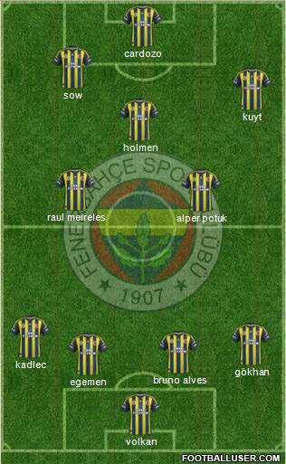 Fenerbahçe SK Formation 2013