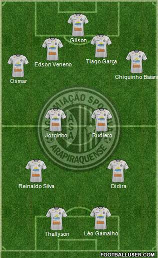 AS Arapiraquense Formation 2013