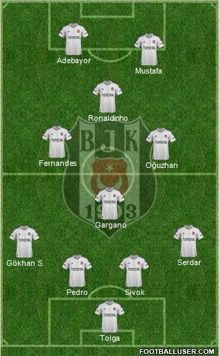 Besiktas JK Formation 2013