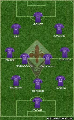 Fiorentina Formation 2013