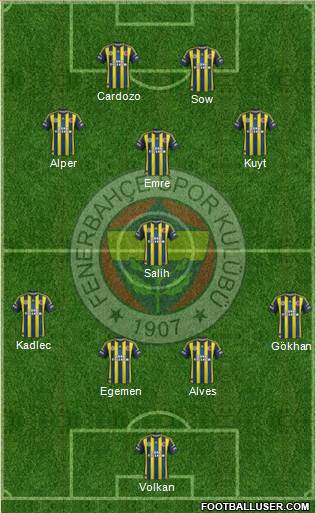 Fenerbahçe SK Formation 2013