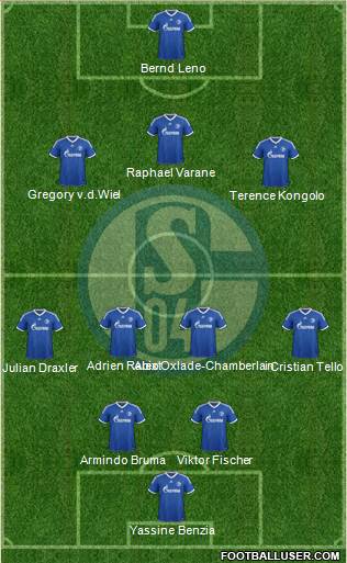 FC Schalke 04 Formation 2013