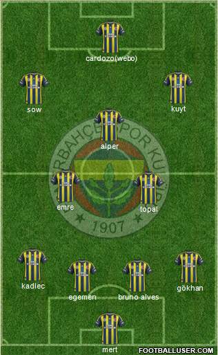 Fenerbahçe SK Formation 2013