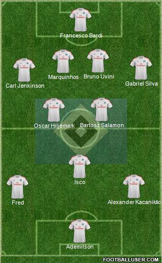 Hamburger SV Formation 2013